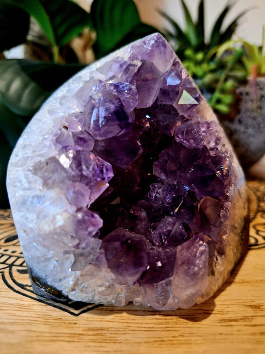 Amethyst Cluster 'D'